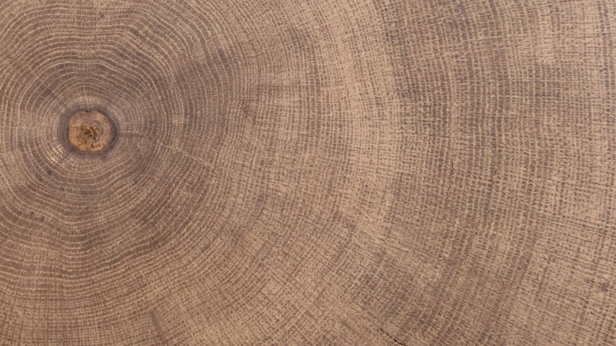 Oak Milling Mastery: Tips and Techniques for the Modern Machinist