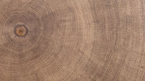 Oak Milling Mastery: Tips and Techniques for the Modern Machinist